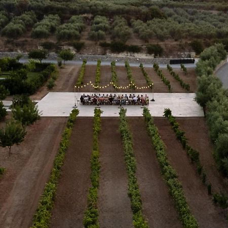 Citrus Grove Luxury Villas Skaleta Luaran gambar