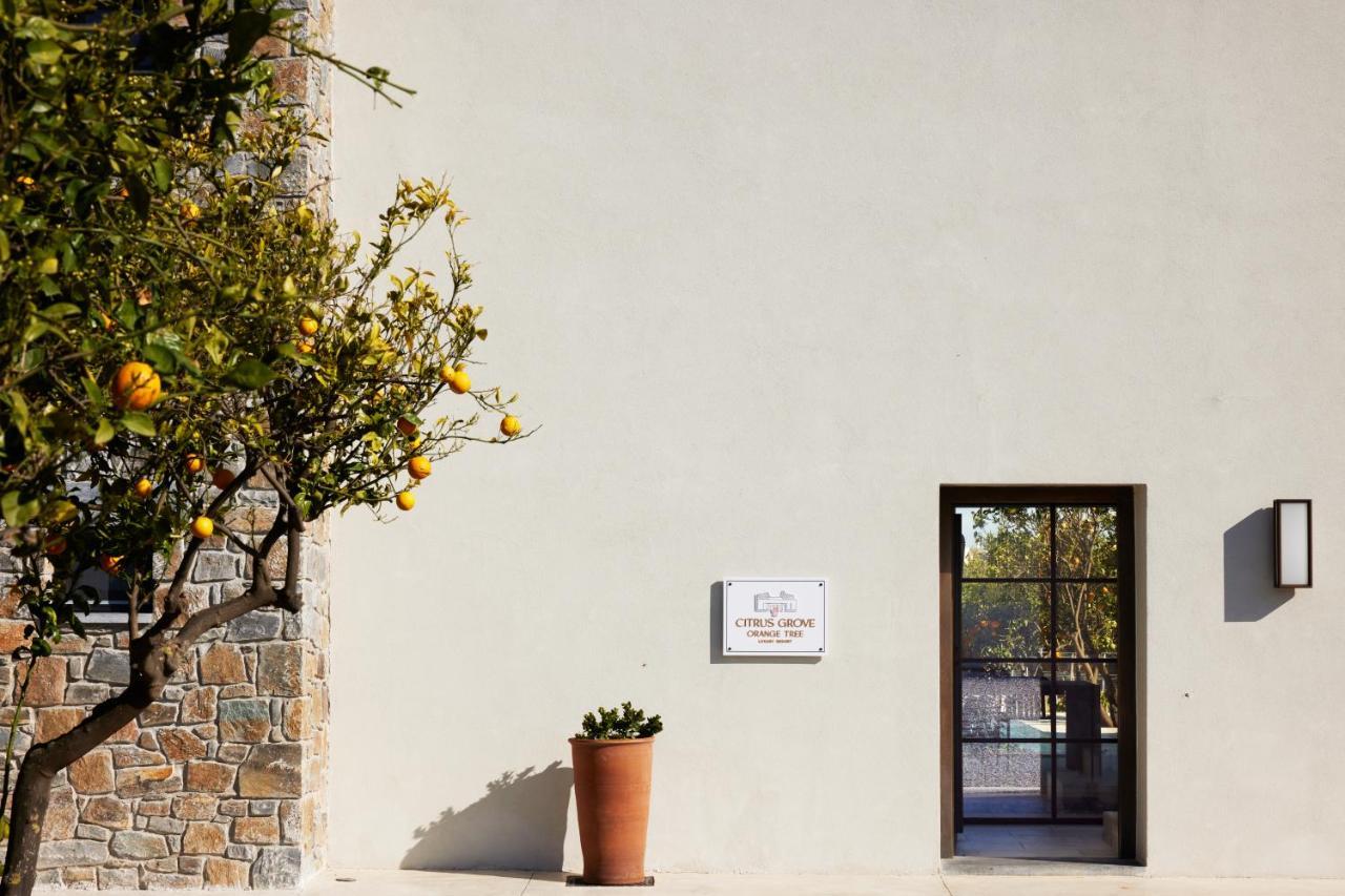 Citrus Grove Luxury Villas Skaleta Luaran gambar